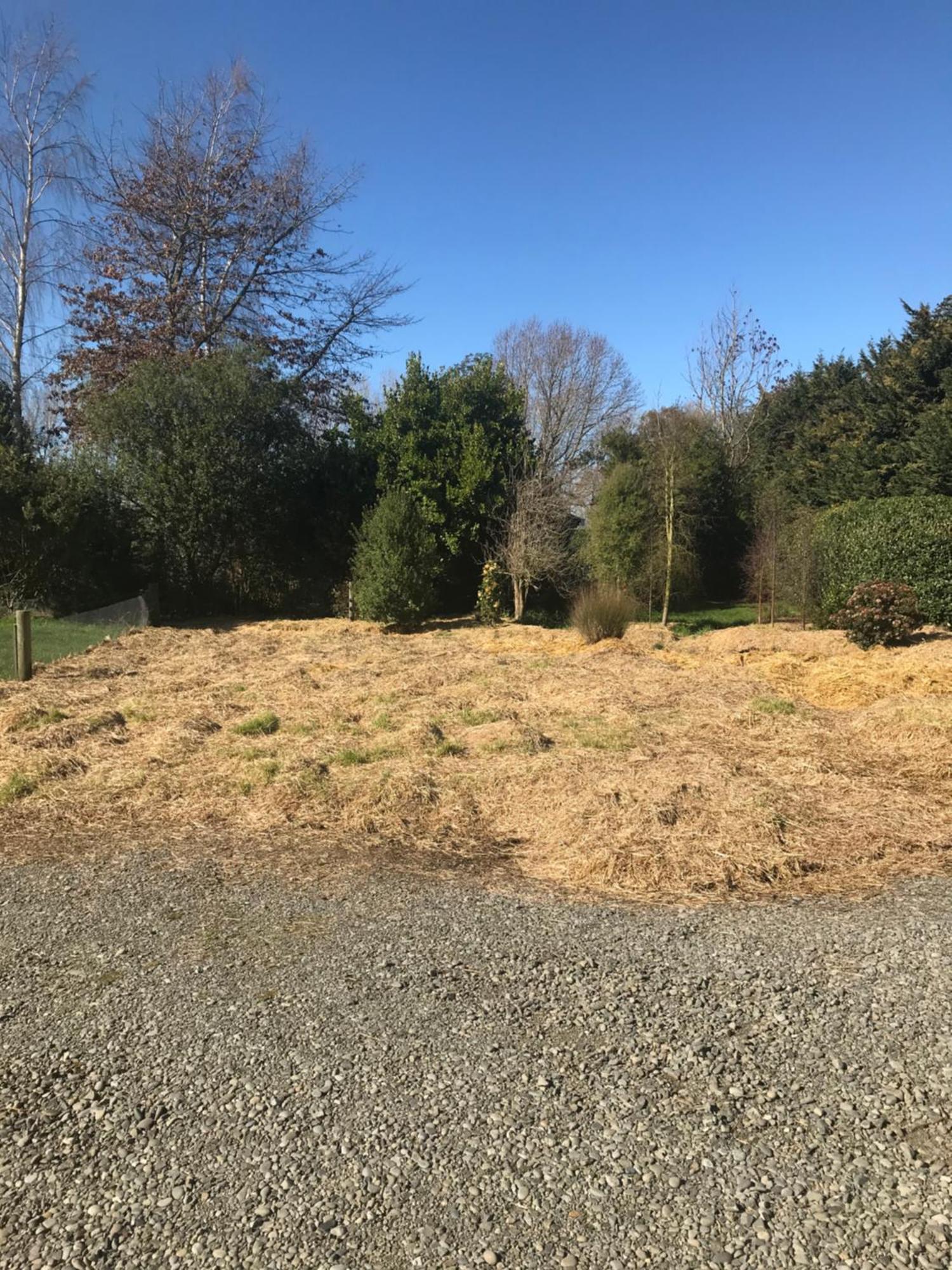 Hotel Brookside Country Escape 40 Minutes To Chc Airport Leeston Exterior foto